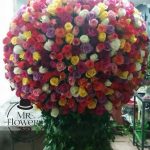 1000-Rosas