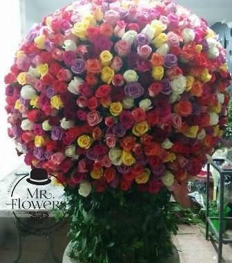 1000-Rosas