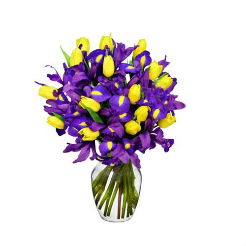 Arreglo Floral con Tulipanes e Iris Arreglo Floral con Tulipanes e Iris