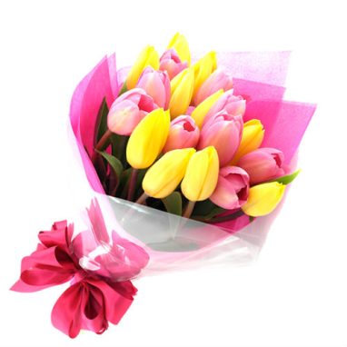 Ramo de 20 Tulipanes Florero GRATIS