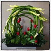 Arreglo floral con Alcatraces y Tulipanes