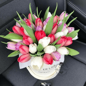 Caja con 60 Tulipanes