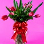 Arreglo floral de 10 tulipanes