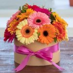 Caja con 24 Gerberas Mixtas