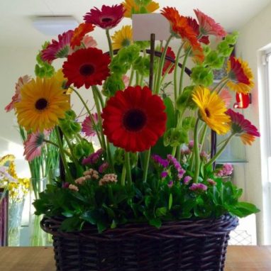 Canasta con 36 Gerberas Mixtas