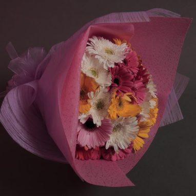Ramo de 24 Gerberas