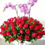 50 Rosas con Orquídea 